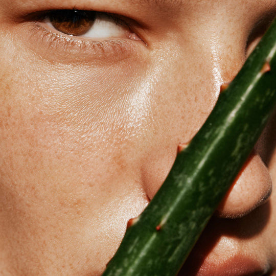 PACK: DIFUMINADA + HIDRATADA