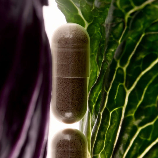 PACK: LUMINOSA + DIFUMINADA