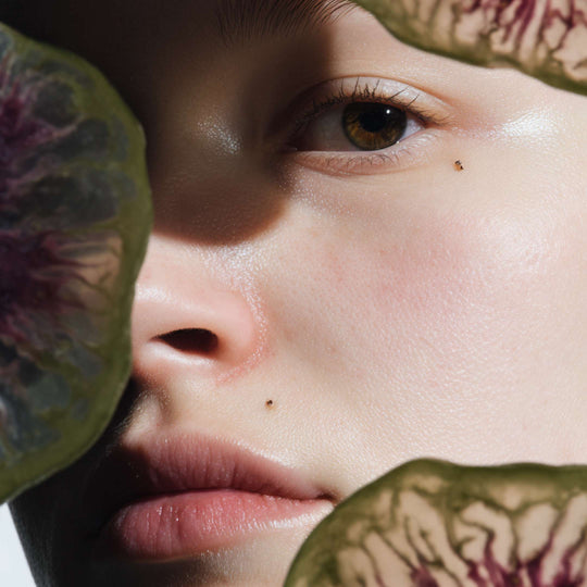 PACK: LUMINOSA + DIFUMINADA